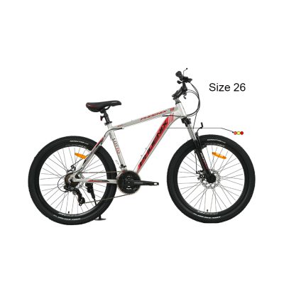 دوچرخه زمردکویر مدل zk200-02 (LOTTO) سایز 26
