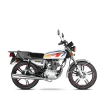 موتور سیکلت بنزینی طرح کویر مدل CDI 200 (Sport)