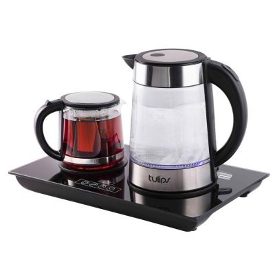 چایساز تولیپس مدل TM 452 GG