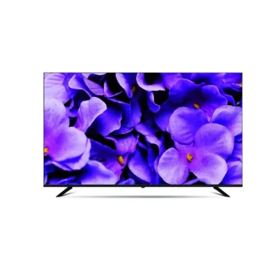 هوریون ال ای دی 65اینچ مدل H-65QU9290 QLED